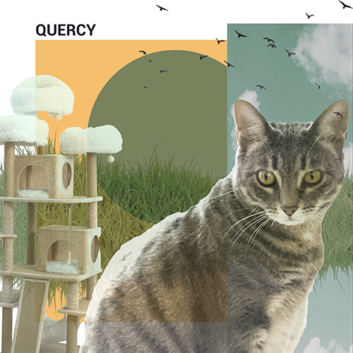 Quercy